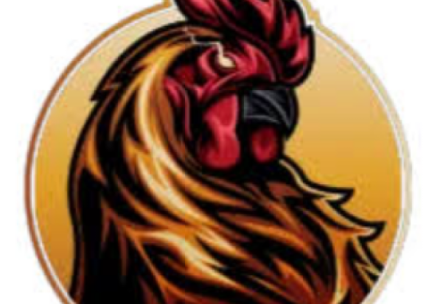 BISABET S377 Adroid 17 Kamera Depan 50mp